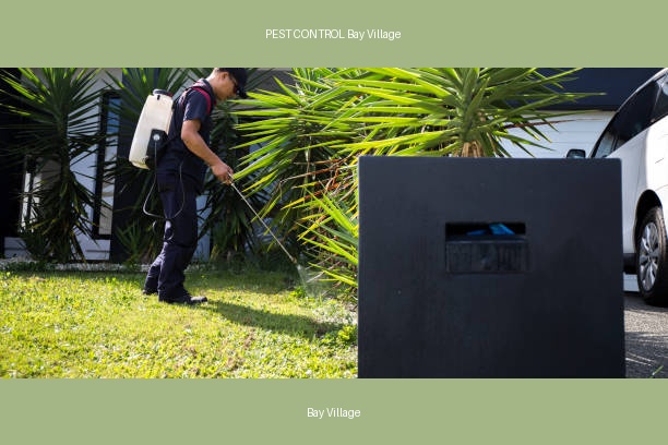 PEST CONTROL Bay Village